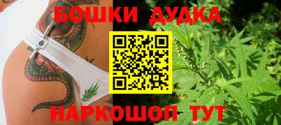 PSILOCYBIN Нягань