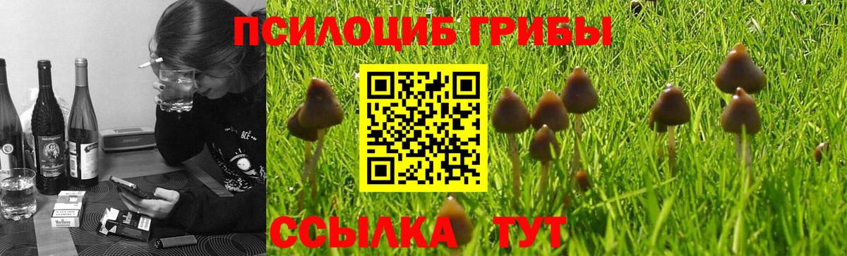 Галлюциногенные грибы Cubensis Советск