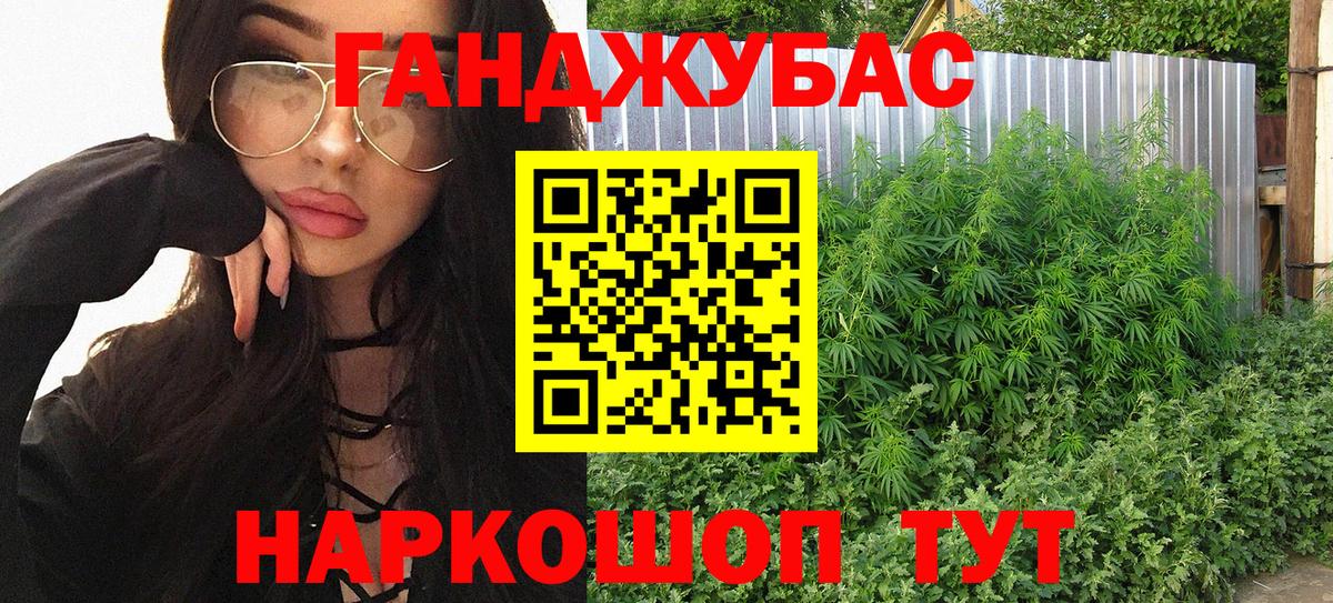Бошки Шишки планчик Советск